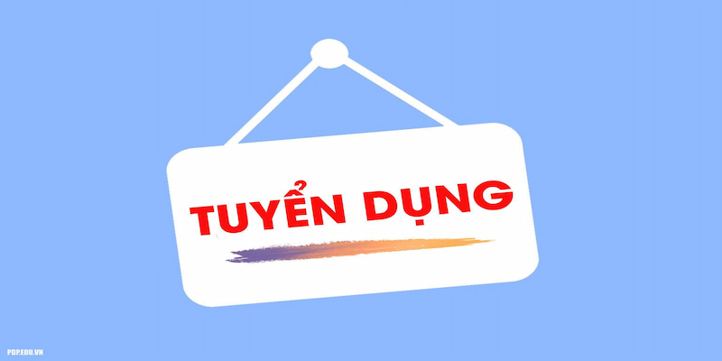 Tuyển dụng sunwin Tại sao nên lựa chọn Tuyển dụng sunwin?
