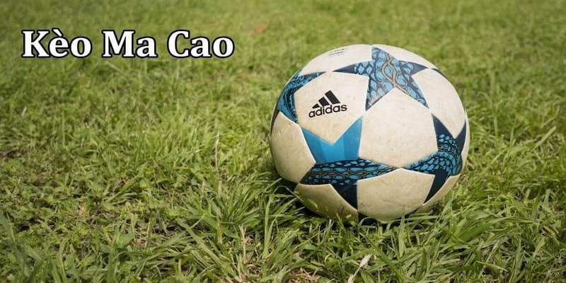 Tỷ lệ cá cược Ma Cao là gì?