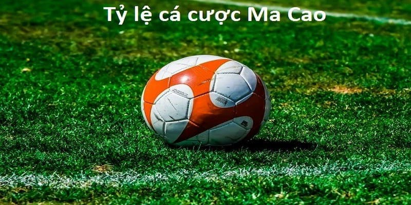 Ưu điểm khi chơi theo tỷ lệ cá cược Ma Cao tại Sunwin